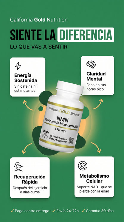 California Gold Nutrition Nmn 175mg 60caps — benefits