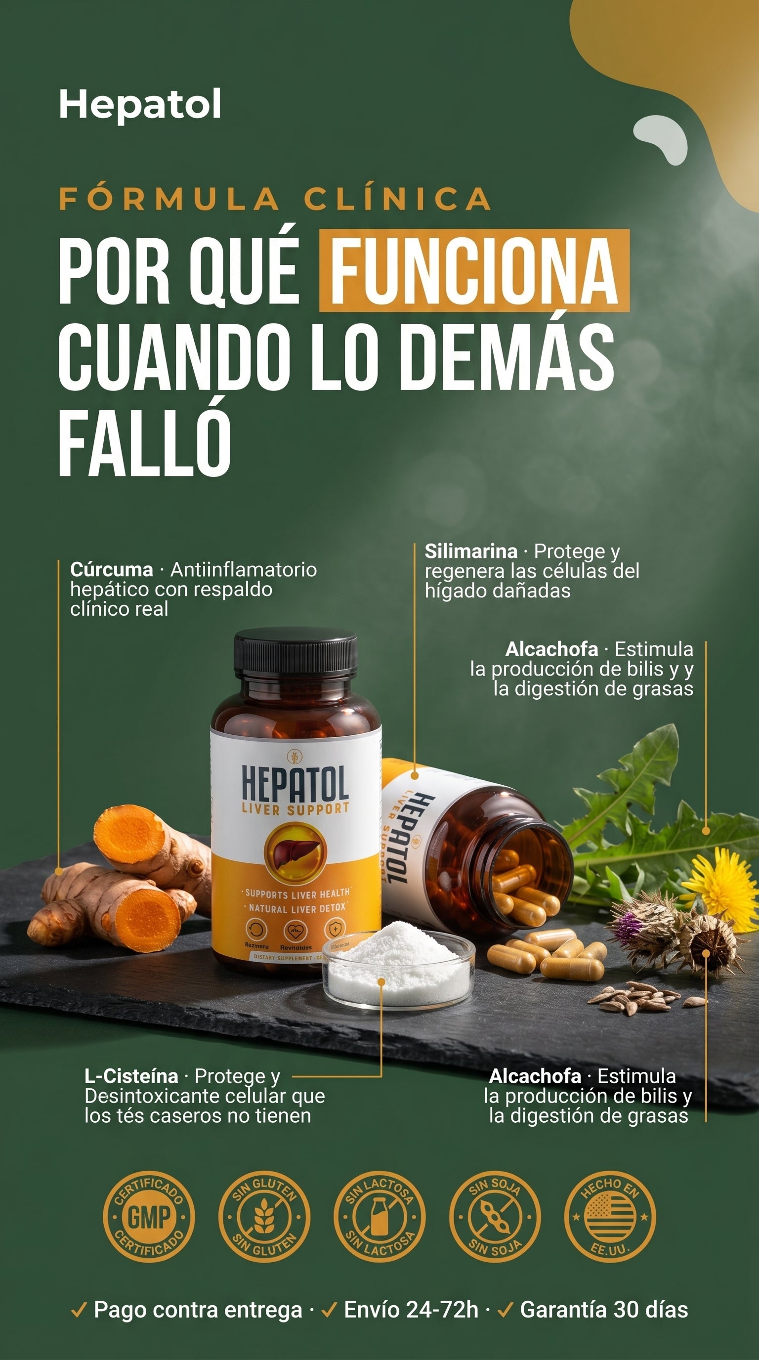 Amazon.com: Hepatol - Desintoxicación de limpieza hepática - Suplemento hepático de hierbas con cúrcuma; L-cisteína desintoxicante apoya la salud del hígado; digestión saludable - Suplementos de limpieza de desintoxicación de apoyo hepático - 60 unidades  — materials-ingredients